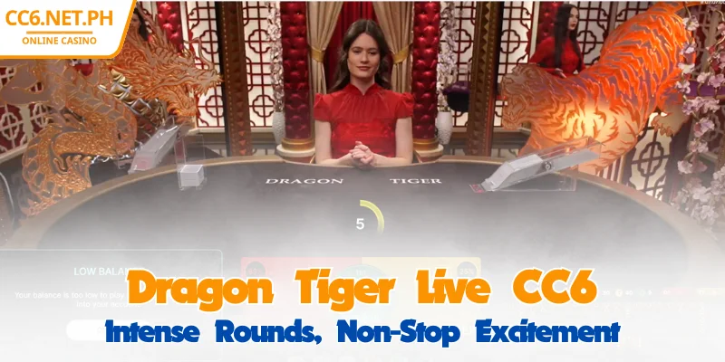 CC6 Dragon Tiger Live – Thrilling Every Match, Continuous Suspense 1 CC6 Dragon Tiger Live – Thrilling Every Match, Continuous Suspense